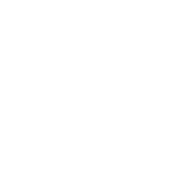 web-development-services-icon