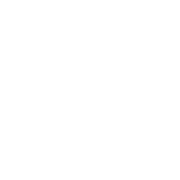 sem-icon